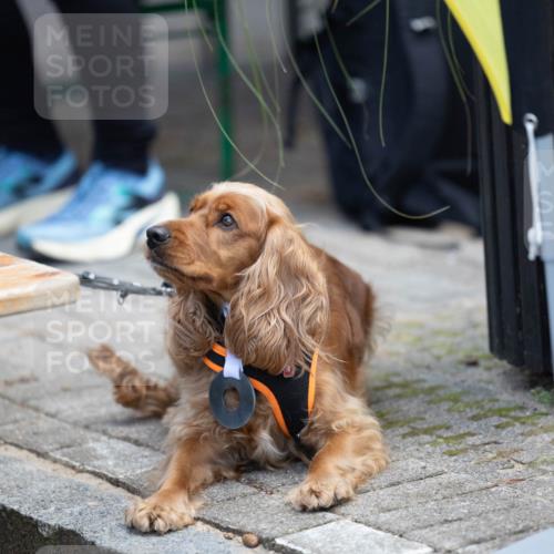 15.09.2024 - PSD Bank Halbmarathon Michael Strokosch http://msf.ph/oto/7096615 15.09.2024 12:24:03 Allgemein zum Event 11 meine-sportfotos.de