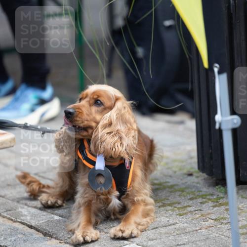 15.09.2024 - PSD Bank Halbmarathon Michael Strokosch http://msf.ph/oto/7096619 15.09.2024 12:24:02 Allgemein zum Event  meine-sportfotos.de