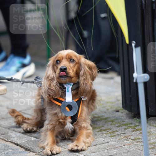 15.09.2024 - PSD Bank Halbmarathon Michael Strokosch http://msf.ph/oto/7096620 15.09.2024 12:24:02 Allgemein zum Event  meine-sportfotos.de