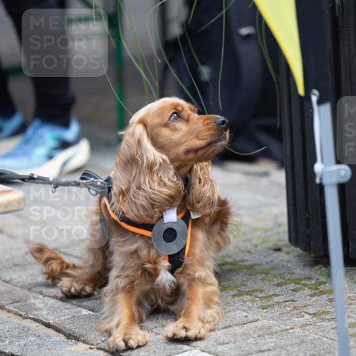 15.09.2024 - PSD Bank Halbmarathon Michael Strokosch http://msf.ph/oto/7096621 15.09.2024 12:24:01 Allgemein zum Event  meine-sportfotos.de