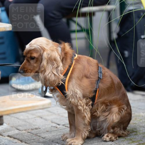 15.09.2024 - PSD Bank Halbmarathon Michael Strokosch http://msf.ph/oto/7096625 15.09.2024 12:23:51 Allgemein zum Event  meine-sportfotos.de