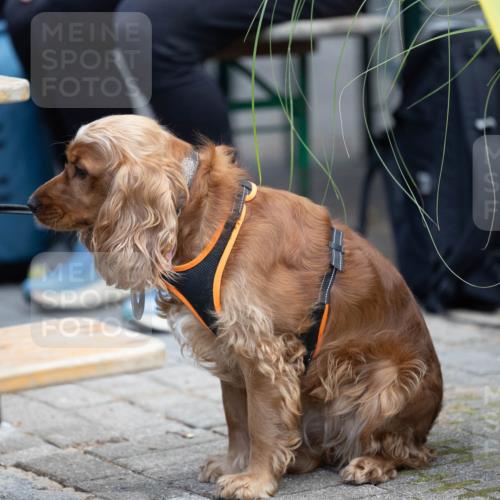 15.09.2024 - PSD Bank Halbmarathon Michael Strokosch http://msf.ph/oto/7096626 15.09.2024 12:23:51 Allgemein zum Event  meine-sportfotos.de
