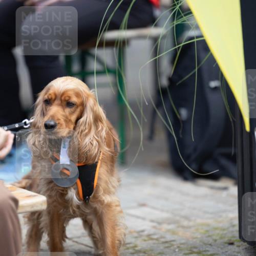 15.09.2024 - PSD Bank Halbmarathon Michael Strokosch http://msf.ph/oto/7096636 15.09.2024 12:23:41 Allgemein zum Event  meine-sportfotos.de