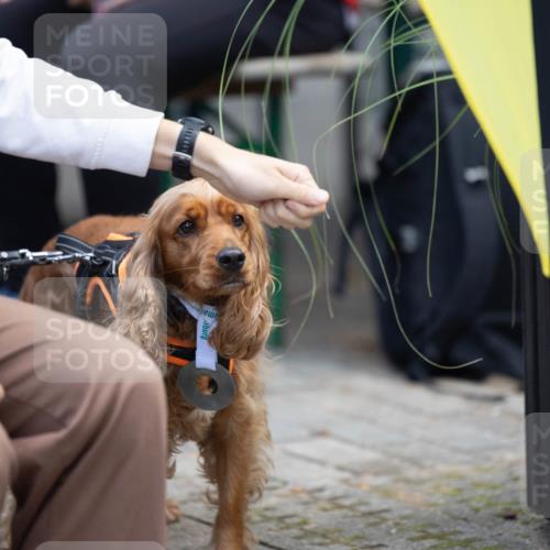 15.09.2024 - PSD Bank Halbmarathon Michael Strokosch http://msf.ph/oto/7096641 15.09.2024 12:23:39 Allgemein zum Event  meine-sportfotos.de