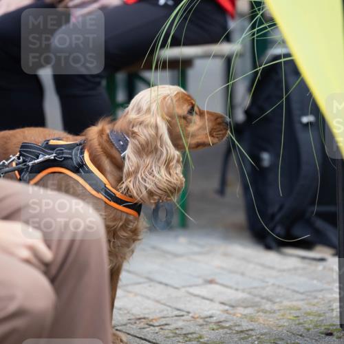 15.09.2024 - PSD Bank Halbmarathon Michael Strokosch http://msf.ph/oto/7096642 15.09.2024 12:23:37 Allgemein zum Event  meine-sportfotos.de