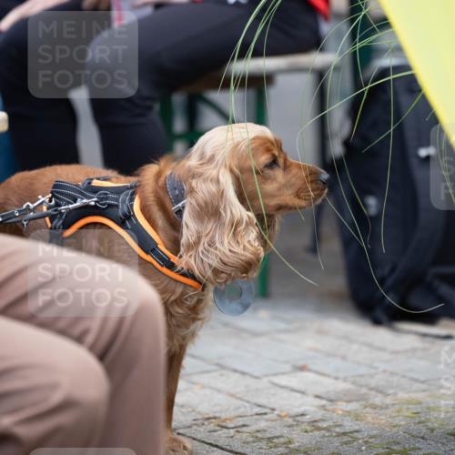 15.09.2024 - PSD Bank Halbmarathon Michael Strokosch http://msf.ph/oto/7096643 15.09.2024 12:23:35 Allgemein zum Event  meine-sportfotos.de