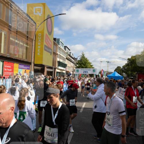 15.09.2024 - PSD Bank Halbmarathon Michael Strokosch http://msf.ph/oto/7097092 15.09.2024 11:52:21 Allgemein zum Event 3547 meine-sportfotos.de
