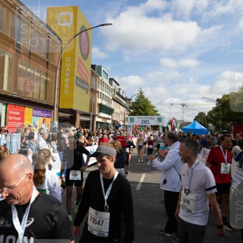 15.09.2024 - PSD Bank Halbmarathon Michael Strokosch http://msf.ph/oto/7097093 15.09.2024 11:52:21 Allgemein zum Event 7, 21, 204, 100, 1192, 3547, 1954, 1608 meine-sportfotos.de