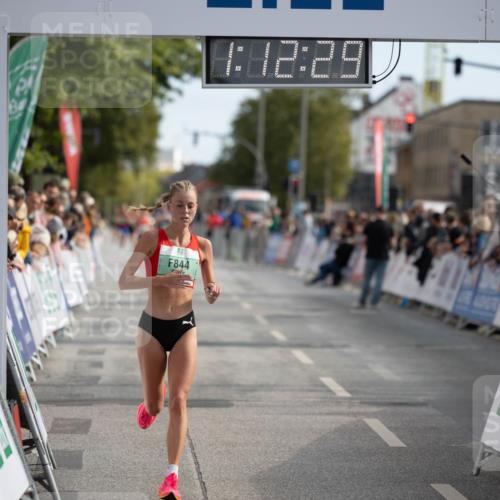 15.09.2024 - PSD Bank Halbmarathon Michael Strokosch http://msf.ph/oto/7097642 15.09.2024 11:13:22 Allgemein zum Event 184, 12, 29, 844 meine-sportfotos.de