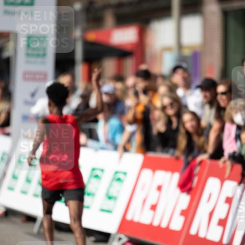 15.09.2024 - PSD Bank Halbmarathon Michael Strokosch http://msf.ph/oto/7097832 15.09.2024 11:08:40 Allgemein zum Event  meine-sportfotos.de