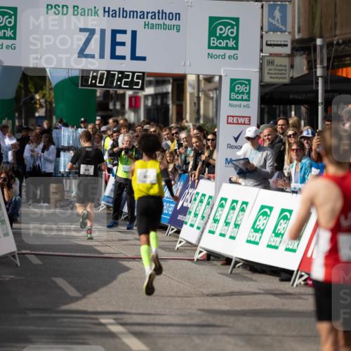 15.09.2024 - PSD Bank Halbmarathon Michael Strokosch http://msf.ph/oto/7097843 15.09.2024 11:08:18 Allgemein zum Event 408, 07, 25 meine-sportfotos.de