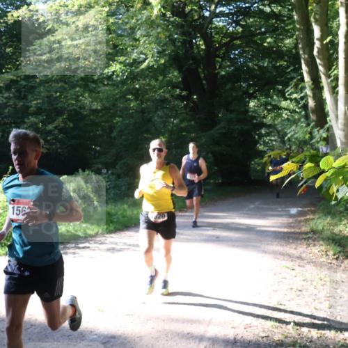22.09.2024 - 32. Volkslauf durch das schöne Alstertal Luisa Fischer http://msf.ph/oto/7101496 22.09.2024 10:18:20 Laufen 156, 520 meine-sportfotos.de
