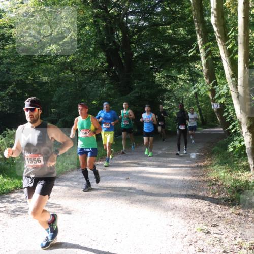 22.09.2024 - 32. Volkslauf durch das schöne Alstertal Luisa Fischer http://msf.ph/oto/7101544 22.09.2024 10:19:42 Laufen 1556, 1533, 1534, 1550, 1559, 1529, 1563 meine-sportfotos.de