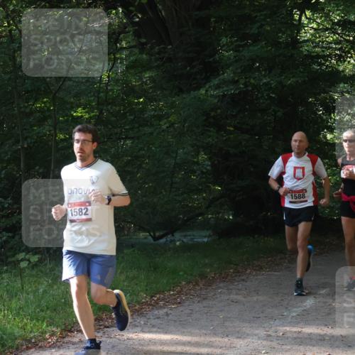 22.09.2024 - 32. Volkslauf durch das schöne Alstertal Luisa Fischer http://msf.ph/oto/7101651 22.09.2024 10:21:36 Laufen 1582, 1588, 1577 meine-sportfotos.de