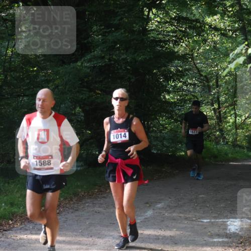 22.09.2024 - 32. Volkslauf durch das schöne Alstertal Luisa Fischer http://msf.ph/oto/7101654 22.09.2024 10:21:38 Laufen 1588, 1014, 1577 meine-sportfotos.de