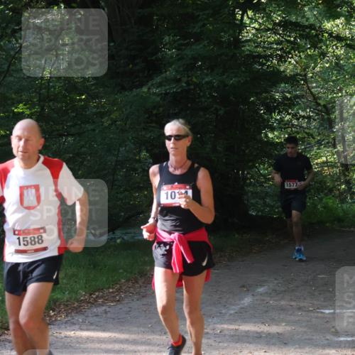 22.09.2024 - 32. Volkslauf durch das schöne Alstertal Luisa Fischer http://msf.ph/oto/7101655 22.09.2024 10:21:38 Laufen 1588, 10, 1577 meine-sportfotos.de