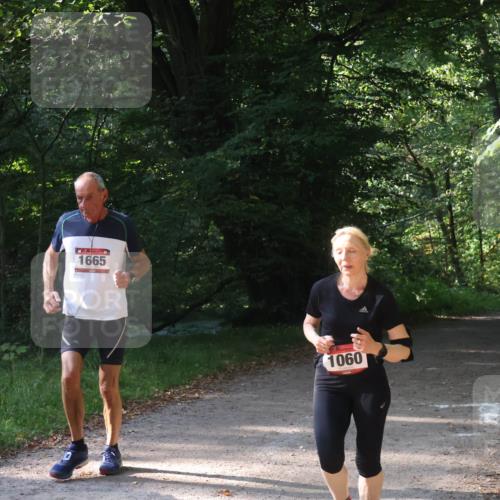 22.09.2024 - 32. Volkslauf durch das schöne Alstertal Luisa Fischer http://msf.ph/oto/7101890 22.09.2024 10:25:47 Laufen 1665, 1060, 17 meine-sportfotos.de