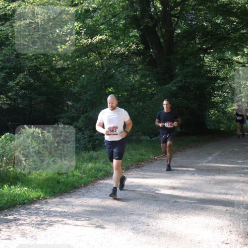 22.09.2024 - 32. Volkslauf durch das schöne Alstertal Luisa Fischer http://msf.ph/oto/7101901 22.09.2024 10:26:15 Laufen 1041, 1051, 1716, 662 meine-sportfotos.de