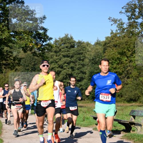 22.09.2024 - 32. Volkslauf durch das schöne Alstertal Dr. Thomas Lammeyer http://msf.ph/oto/7104453 22.09.2024 10:05:07 Laufen 1002, 1520, 15, 1516, 1531 meine-sportfotos.de