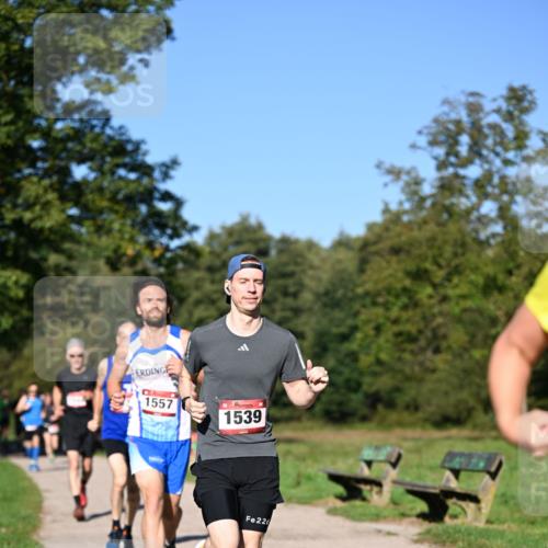22.09.2024 - 32. Volkslauf durch das schöne Alstertal Dr. Thomas Lammeyer http://msf.ph/oto/7104569 22.09.2024 10:05:17 Laufen 1557, 1539, 226 meine-sportfotos.de