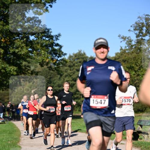 22.09.2024 - 32. Volkslauf durch das schöne Alstertal Dr. Thomas Lammeyer http://msf.ph/oto/7104818 22.09.2024 10:05:43 Laufen 1547, 1575, 005, 1593, 1009, 8, 1570 meine-sportfotos.de