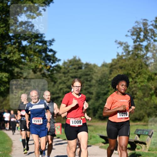 22.09.2024 - 32. Volkslauf durch das schöne Alstertal Dr. Thomas Lammeyer http://msf.ph/oto/7104856 22.09.2024 10:05:46 Laufen 1593, 1009, 1019 meine-sportfotos.de