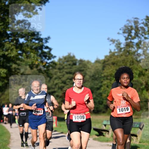 22.09.2024 - 32. Volkslauf durch das schöne Alstertal Dr. Thomas Lammeyer http://msf.ph/oto/7104861 22.09.2024 10:05:46 Laufen 1593, 1009, 1019 meine-sportfotos.de