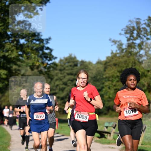 22.09.2024 - 32. Volkslauf durch das schöne Alstertal Dr. Thomas Lammeyer http://msf.ph/oto/7104863 22.09.2024 10:05:47 Laufen 1593, 1009, 1019 meine-sportfotos.de