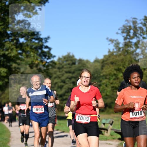 22.09.2024 - 32. Volkslauf durch das schöne Alstertal Dr. Thomas Lammeyer http://msf.ph/oto/7104865 22.09.2024 10:05:47 Laufen 1593, 004, 1009, 1019 meine-sportfotos.de