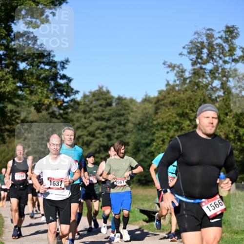22.09.2024 - 32. Volkslauf durch das schöne Alstertal Dr. Thomas Lammeyer http://msf.ph/oto/7104997 22.09.2024 10:05:58 Laufen 1597, 1637, 1567, 515, 1566 meine-sportfotos.de