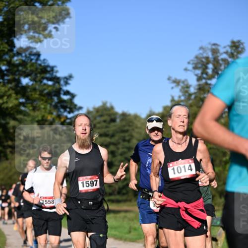 22.09.2024 - 32. Volkslauf durch das schöne Alstertal Dr. Thomas Lammeyer http://msf.ph/oto/7105028 22.09.2024 10:06:01 Laufen 1558, 1597, 1014 meine-sportfotos.de