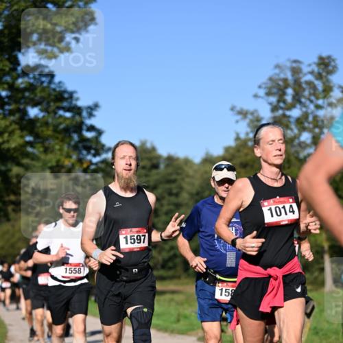 22.09.2024 - 32. Volkslauf durch das schöne Alstertal Dr. Thomas Lammeyer http://msf.ph/oto/7105030 22.09.2024 10:06:01 Laufen 1558, 1597, 158, 1014 meine-sportfotos.de