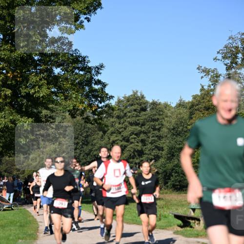 22.09.2024 - 32. Volkslauf durch das schöne Alstertal Dr. Thomas Lammeyer http://msf.ph/oto/7105136 22.09.2024 10:06:10 Laufen 1013 meine-sportfotos.de