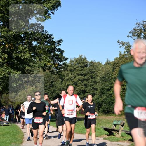 22.09.2024 - 32. Volkslauf durch das schöne Alstertal Dr. Thomas Lammeyer http://msf.ph/oto/7105138 22.09.2024 10:06:10 Laufen 1093, 602, 1588, 013, 161 meine-sportfotos.de