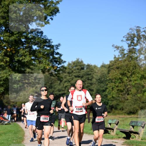 22.09.2024 - 32. Volkslauf durch das schöne Alstertal Dr. Thomas Lammeyer http://msf.ph/oto/7105146 22.09.2024 10:06:11 Laufen 1582, 1093, 1588, 1013 meine-sportfotos.de