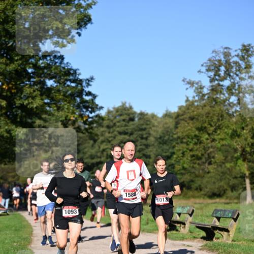 22.09.2024 - 32. Volkslauf durch das schöne Alstertal Dr. Thomas Lammeyer http://msf.ph/oto/7105148 22.09.2024 10:06:11 Laufen 1093, 1588, 1013 meine-sportfotos.de