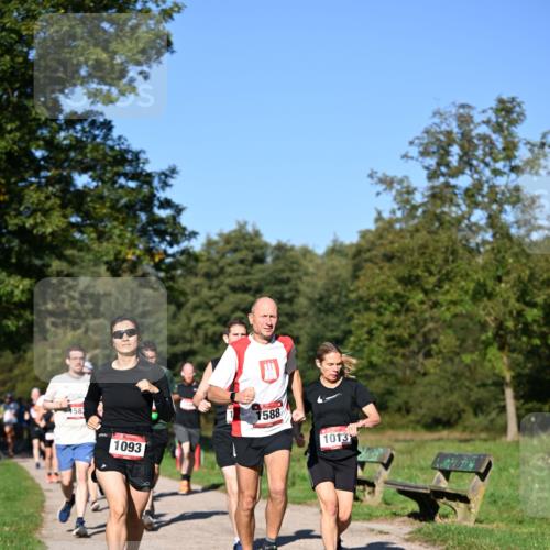 22.09.2024 - 32. Volkslauf durch das schöne Alstertal Dr. Thomas Lammeyer http://msf.ph/oto/7105149 22.09.2024 10:06:11 Laufen 58, 1093, 1588, 1013 meine-sportfotos.de