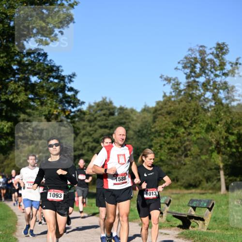 22.09.2024 - 32. Volkslauf durch das schöne Alstertal Dr. Thomas Lammeyer http://msf.ph/oto/7105151 22.09.2024 10:06:11 Laufen 158, 1093, 1588, 10131 meine-sportfotos.de