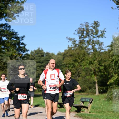 22.09.2024 - 32. Volkslauf durch das schöne Alstertal Dr. Thomas Lammeyer http://msf.ph/oto/7105157 22.09.2024 10:06:12 Laufen 1582, 1093, 1588, 1013 meine-sportfotos.de