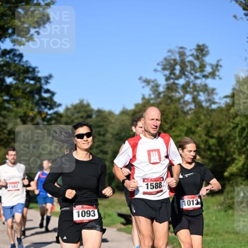 22.09.2024 - 32. Volkslauf durch das schöne Alstertal Dr. Thomas Lammeyer http://msf.ph/oto/7105165 22.09.2024 10:06:12 Laufen 1582, 1093, 1588, 1013 meine-sportfotos.de