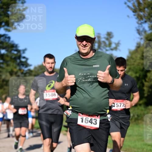22.09.2024 - 32. Volkslauf durch das schöne Alstertal Dr. Thomas Lammeyer http://msf.ph/oto/7105303 22.09.2024 10:06:25 Laufen 1586, 35, 1643, 1577 meine-sportfotos.de