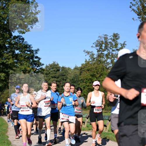 22.09.2024 - 32. Volkslauf durch das schöne Alstertal Dr. Thomas Lammeyer http://msf.ph/oto/7105330 22.09.2024 10:06:28 Laufen 1053, 2, 1607, 1592, 15, 1016, 1020, 1023 meine-sportfotos.de