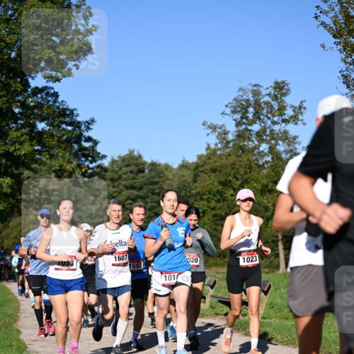 22.09.2024 - 32. Volkslauf durch das schöne Alstertal Dr. Thomas Lammeyer http://msf.ph/oto/7105332 22.09.2024 10:06:28 Laufen 652, 1053, 1607, 15, 1592, 101, 0, 020, 1023 meine-sportfotos.de