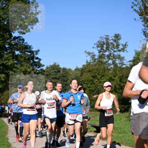 22.09.2024 - 32. Volkslauf durch das schöne Alstertal Dr. Thomas Lammeyer http://msf.ph/oto/7105334 22.09.2024 10:06:28 Laufen 1607, 592, 15, 101, 20, 1023 meine-sportfotos.de