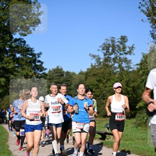 22.09.2024 - 32. Volkslauf durch das schöne Alstertal Dr. Thomas Lammeyer http://msf.ph/oto/7105336 22.09.2024 10:06:28 Laufen 16, 053, 1607, 92, 101, 1023 meine-sportfotos.de