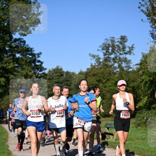 22.09.2024 - 32. Volkslauf durch das schöne Alstertal Dr. Thomas Lammeyer http://msf.ph/oto/7105338 22.09.2024 10:06:28 Laufen 164, 1053, 1607, 692, 1016, 20, 1023 meine-sportfotos.de