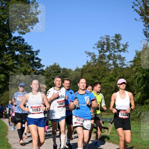22.09.2024 - 32. Volkslauf durch das schöne Alstertal Dr. Thomas Lammeyer http://msf.ph/oto/7105340 22.09.2024 10:06:28 Laufen 164, 1053, 1607, 59, 15, 1016, 20, 1023 meine-sportfotos.de