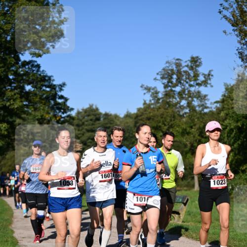 22.09.2024 - 32. Volkslauf durch das schöne Alstertal Dr. Thomas Lammeyer http://msf.ph/oto/7105342 22.09.2024 10:06:28 Laufen 1646, 1053, 1607159, 15, 1016, 1023 meine-sportfotos.de