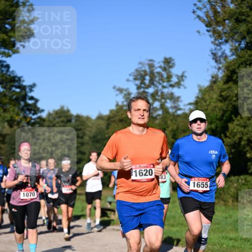 22.09.2024 - 32. Volkslauf durch das schöne Alstertal Dr. Thomas Lammeyer http://msf.ph/oto/7105399 22.09.2024 10:06:33 Laufen 1070, 1620, 83, 1655 meine-sportfotos.de