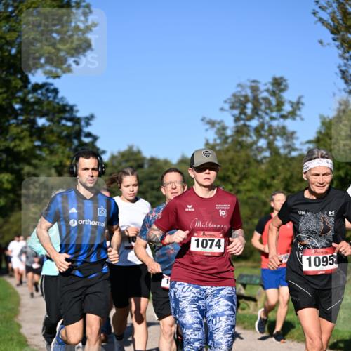 22.09.2024 - 32. Volkslauf durch das schöne Alstertal Dr. Thomas Lammeyer http://msf.ph/oto/7105425 22.09.2024 10:06:37 Laufen 30, 10, 1074, 1095 meine-sportfotos.de